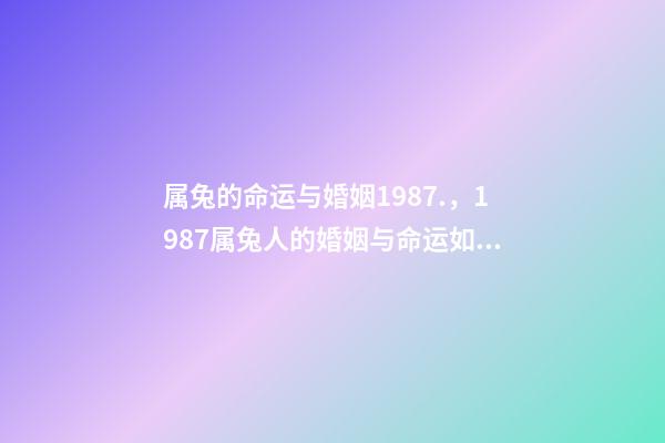 属兔的命运与婚姻1987.，1987属兔人的婚姻与命运如何 87年属兔2022年婚姻最终归宿